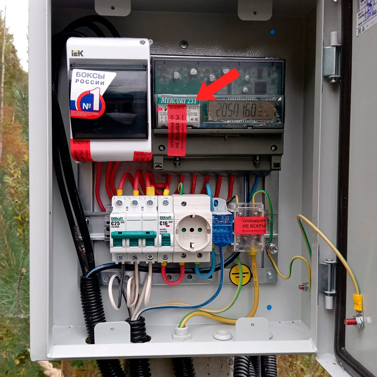 vorovstvo-elektrichestva-2